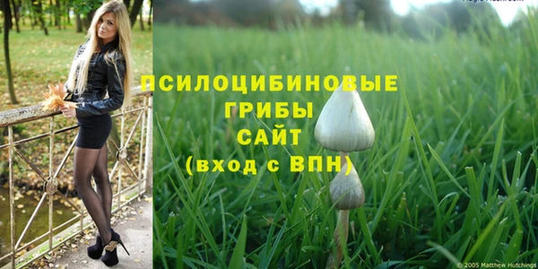 ешки Арсеньев